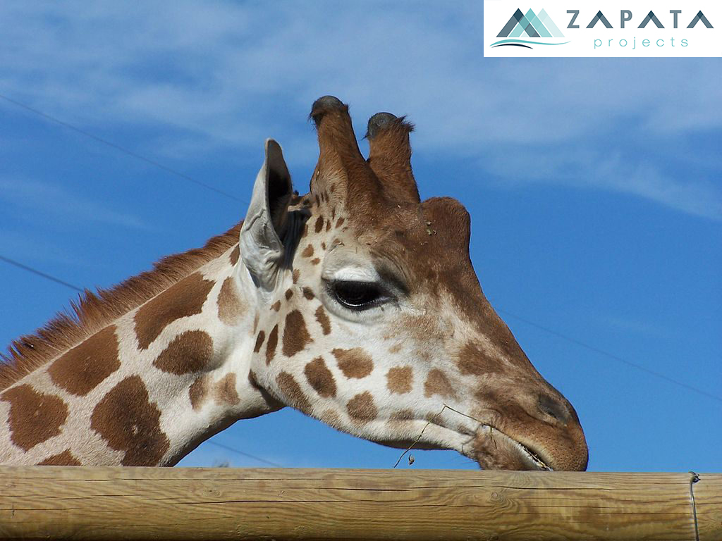 Terra Natura Murcia-Parques Acuaticos-Zoologico-Promociones Zapata (3)