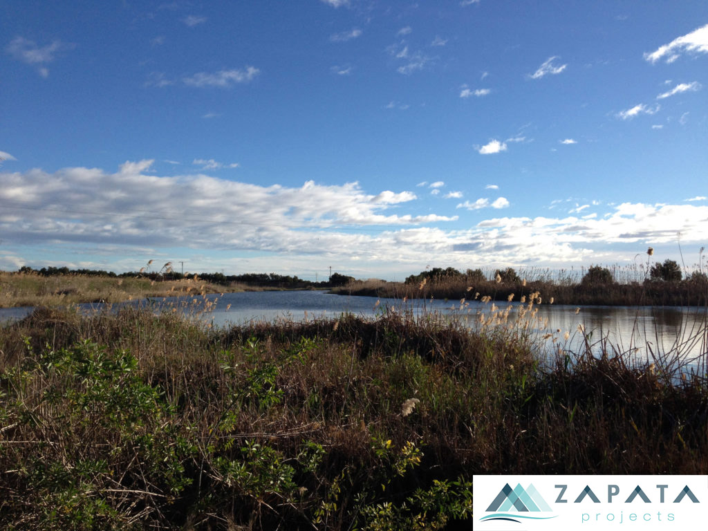 lagunas de lo monte-paraje natural-lugares de interes-promociones zapata (1)