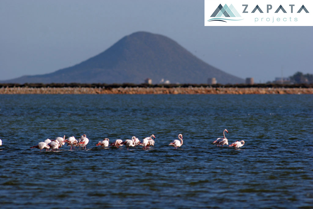 paisaje protegido islas mar menor-lugares de interes-promociones zapata (1)